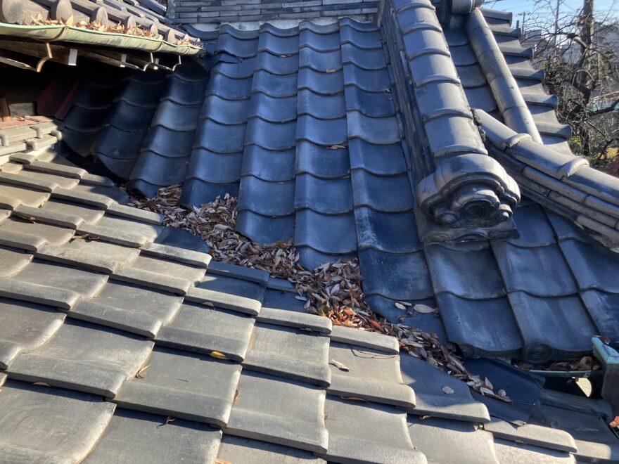 屋根・雨樋清掃